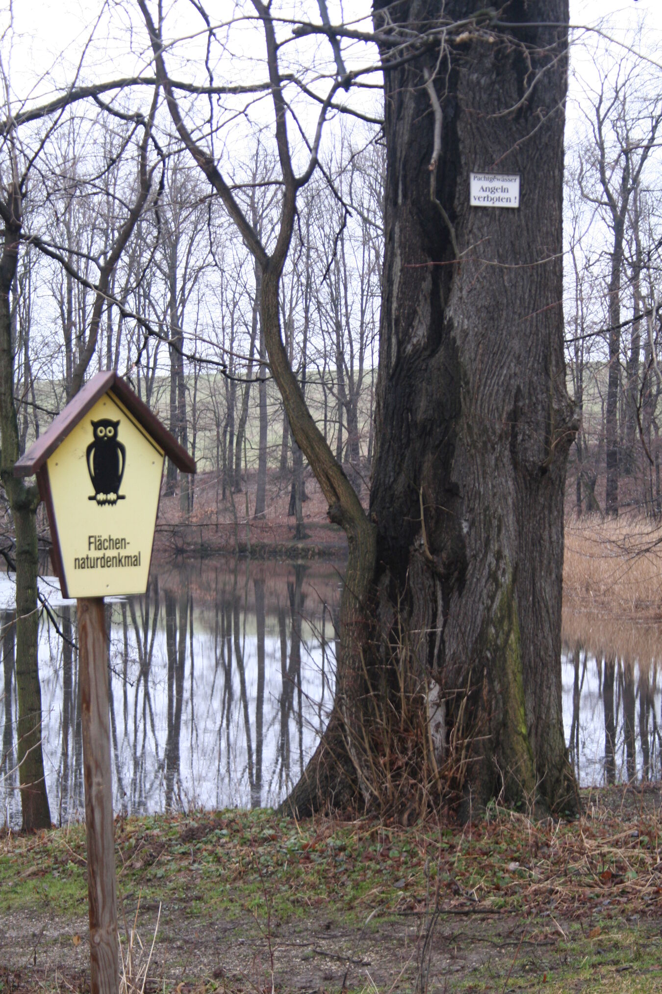 Schild Flächennaturdenkmal am Burgstädtelteich Graupzig