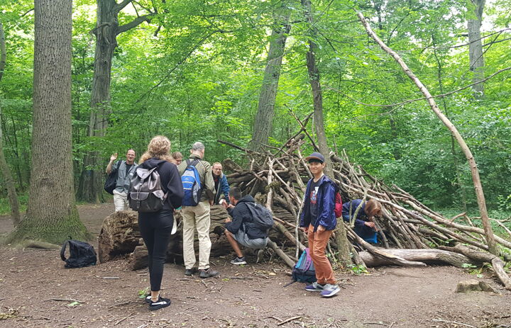 Seminarteilnehmende untersuchen von verschiedenen Seiten einen Holzhaufen im Auenwald Leipzig auf der Suche nach einem Hinweis für die  GPS-Schatzsuche