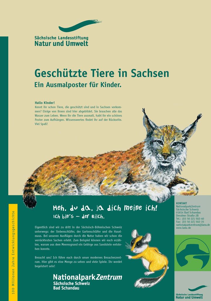 Malblatt "Geschützte Tiere in Sachsen", DIN A4