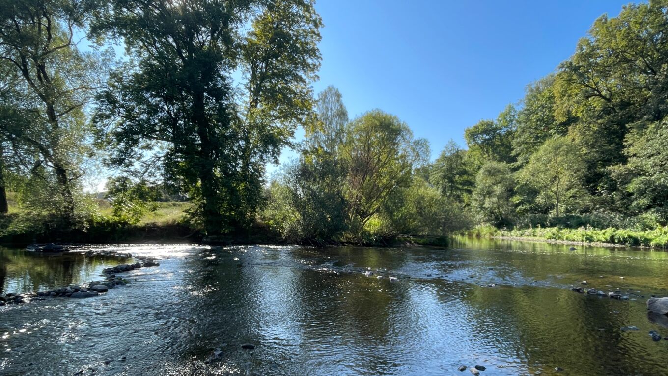 Die Flöha an der Mündung in die Zschopau