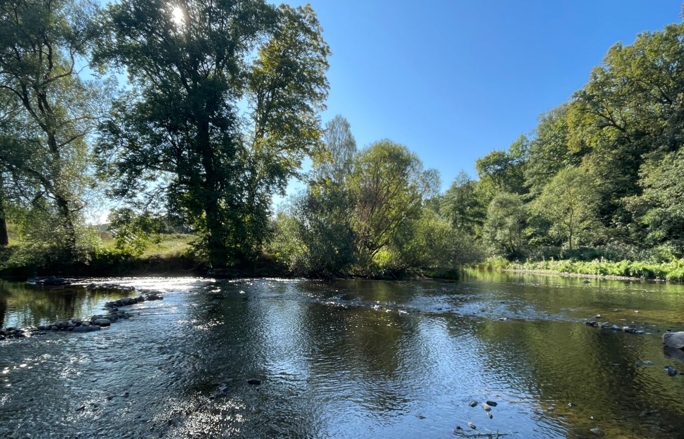 Die Flöha an der Mündung in die Zschopau