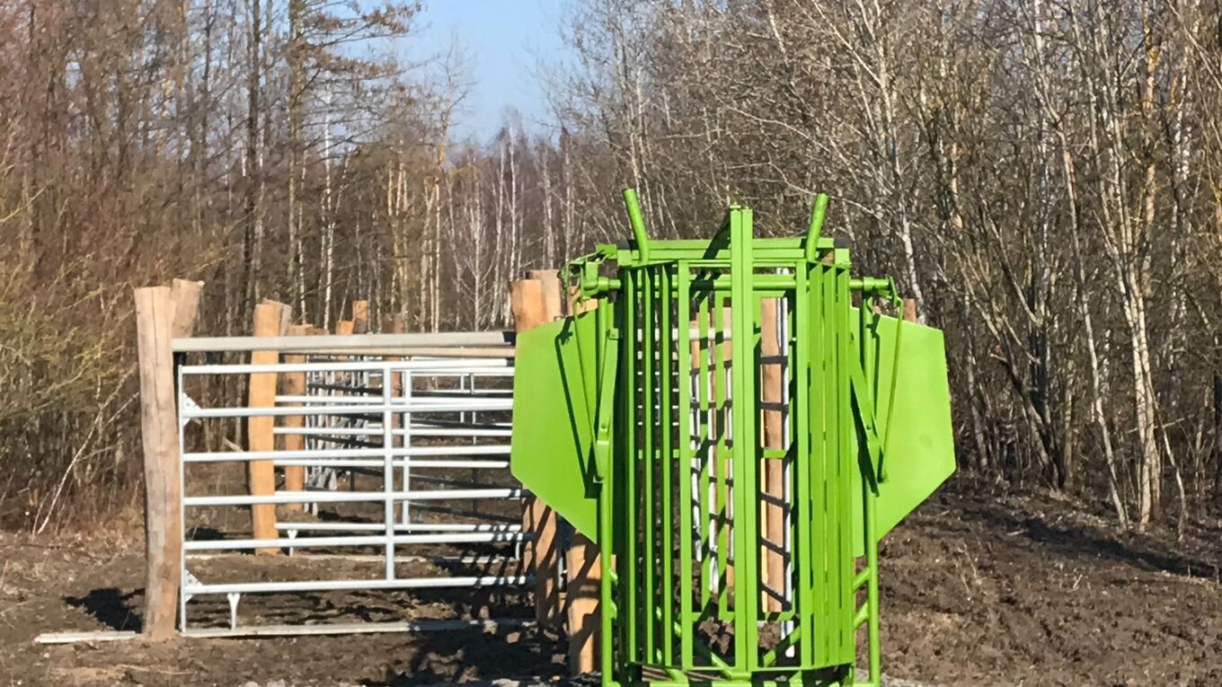 Fanganlage für Rinder und Pferde in der Bergbaufolgelandschaft Bockwitz