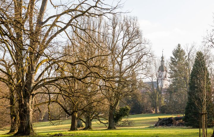 Link: 3. Parkseminar Schlosspark Wechselburg 2025
