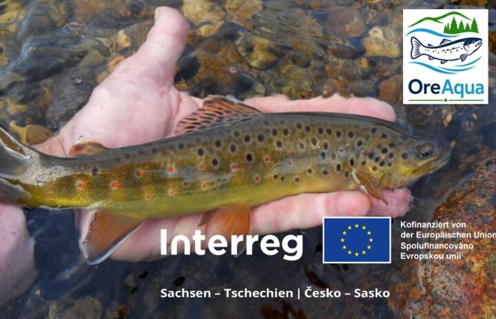 Link: Projektbeginn OreAqua