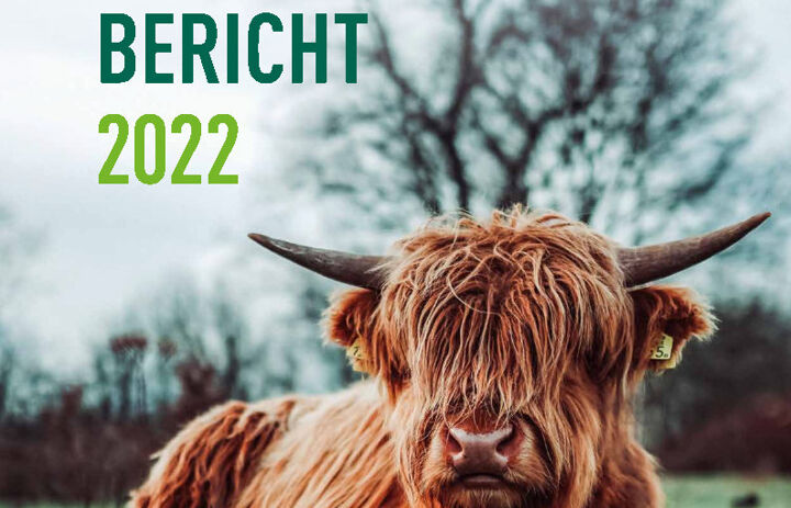 Link: Geschäftsbericht 2022