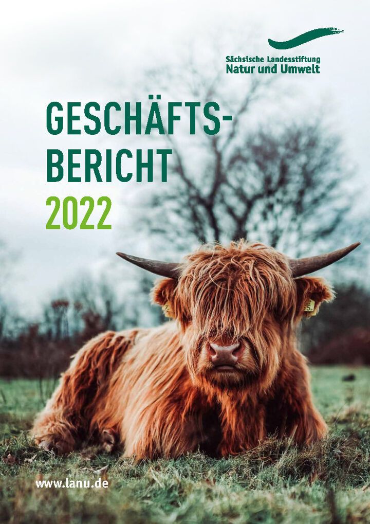Geschäftsbericht 2022