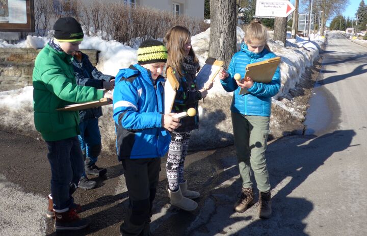 Kinder messen Lärm an der Straße - Link: Lärm - ein Thema für die Schule?