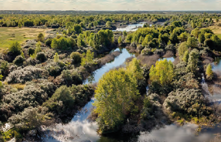 Link: Grabschützer See - Wildnis statt Braunkohle