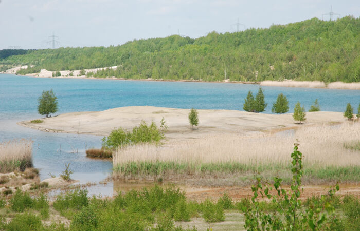 Foto der Bergbaufolgelandschaft Bockwitz. Ein See mit Uferzonen.