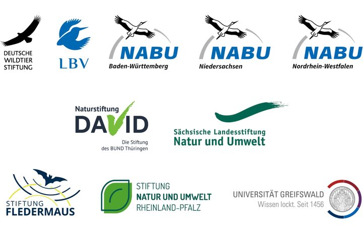 Logos der Verbundpartner im Projekt: 
Naturstiftung David (Lead-Partner), LaNU, Deutsche Wildtier Stiftung, LBV, NABU BW, NABU Niedersachsen, NABU NRW, Stiftung Fledermaus, SNU, Uni Greifswald
