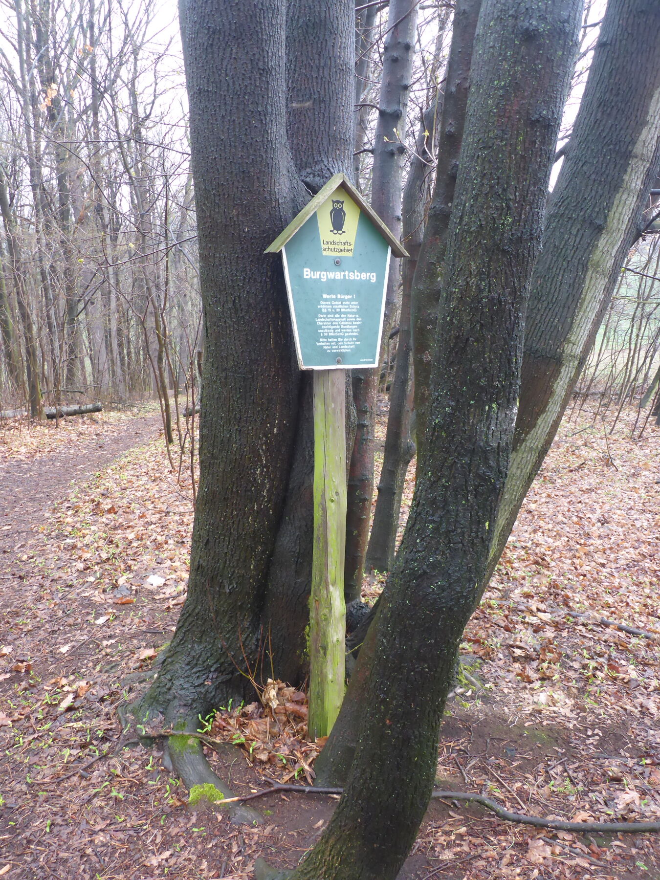 LSG-Schild am Burgwartsberg Freital