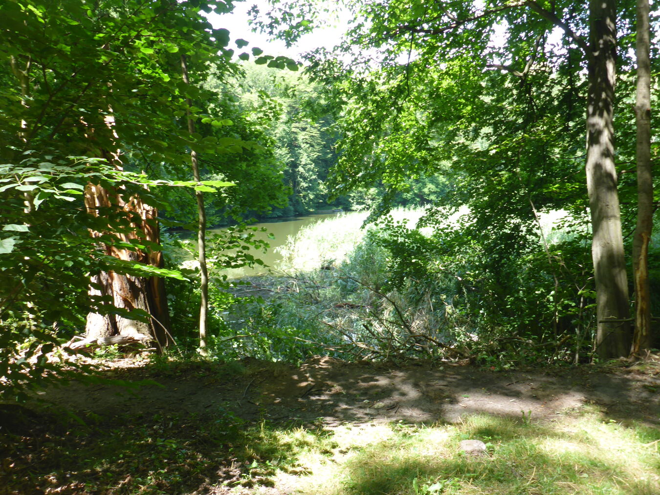 Blick auf den Teich