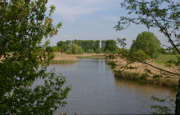 Kleingewässer auf der LaNU-Fläche Schkeuditz Elsterwiesen
