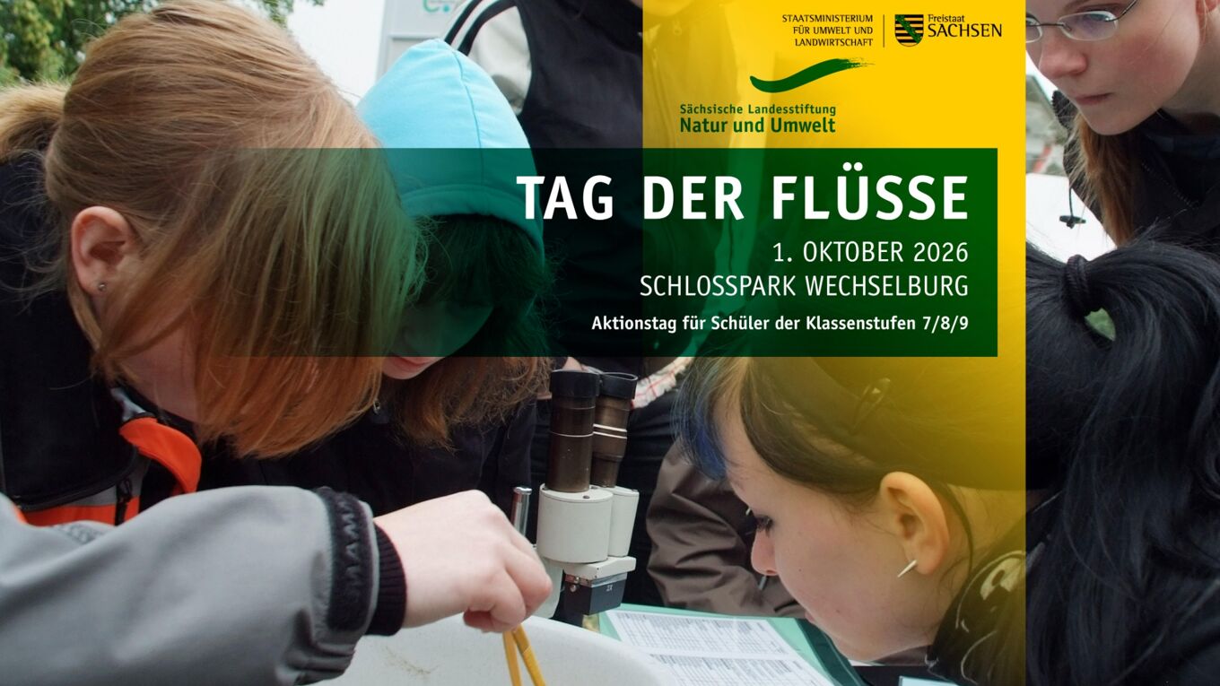 Schüler und Schülerinnen beugen sich über Mikroskop, Messinstrumente und Tabellen. 2026 nehmen sie die Zwickauer Mulde unter die Lupe.