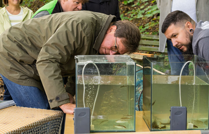 Umweltminister Georg-Ludwig von Breitenbuch beugt sich über ein Aquarium und lässt sich die heimische Fischpopulation zeigen - Link: Die Zwickauer Mulde als Klassenzimmer: Rückblick auf den Tag der Flüsse