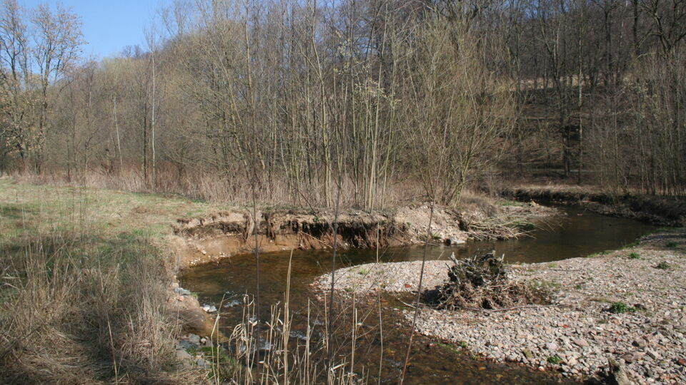 Foto eines Flusses mit steinigem Ufer.