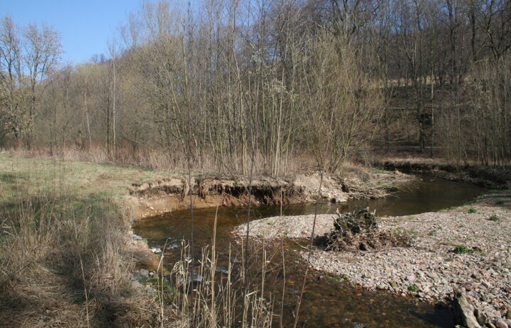 Foto eines Flusses mit steinigem Ufer.