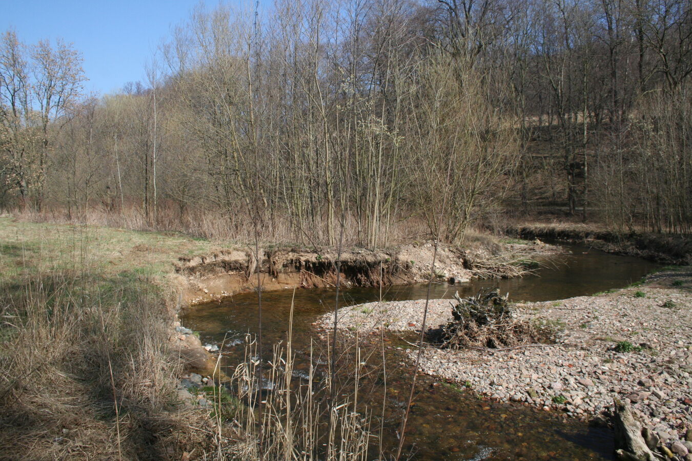 Bad Gottleuba Hchwasserflaeche
