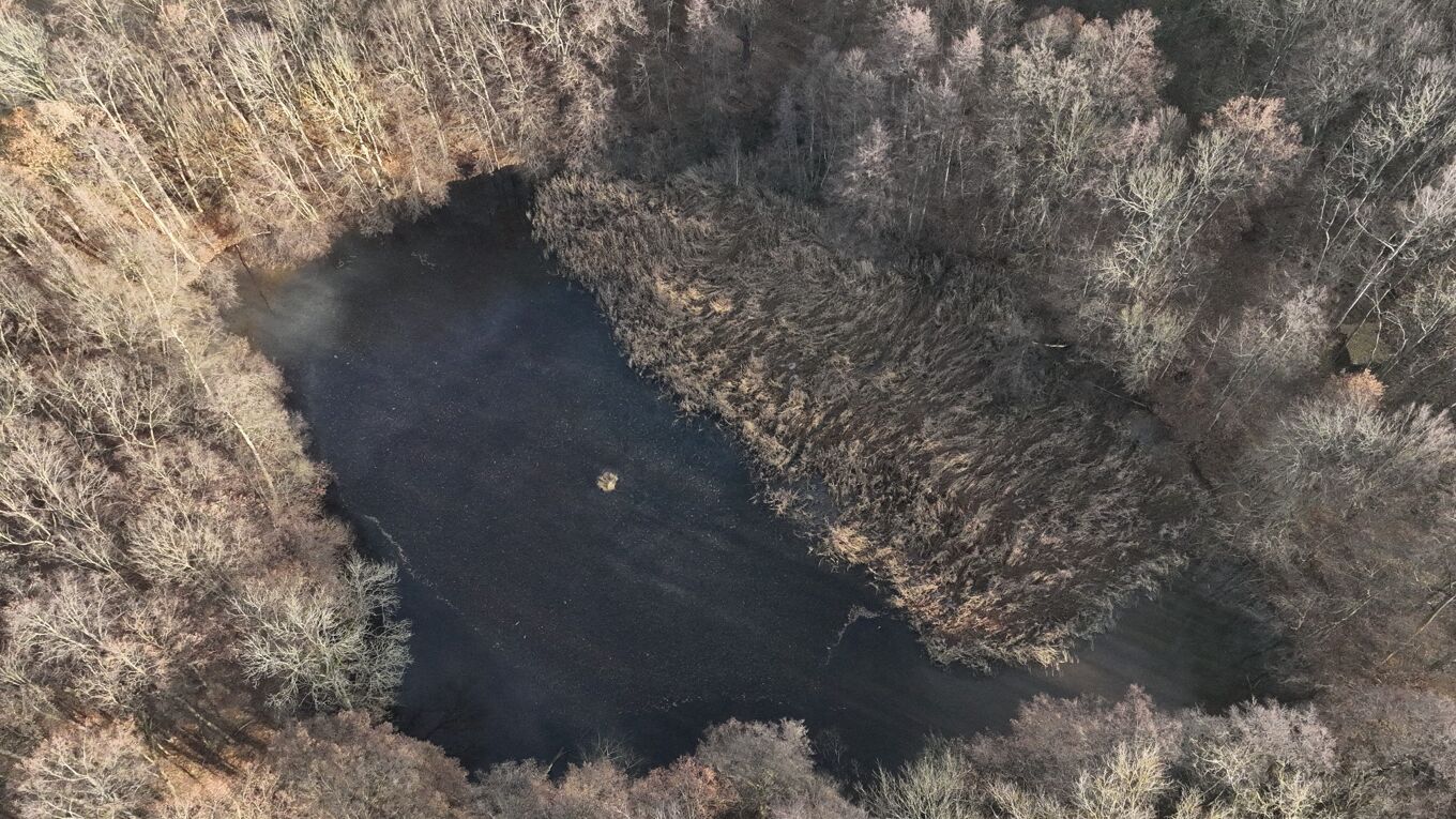 Burgstädelteich von oben im Winter