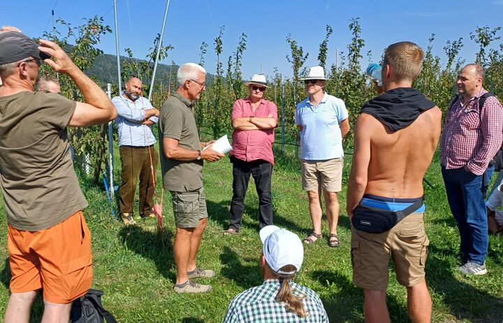 Link: Erhaltung genetischer Ressourcen und Züchtung von Obstsorten im Julius Kühn-Institut