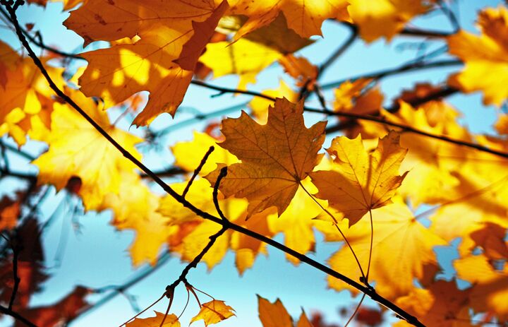 Link: Frischer Wind im JuNa-Programm