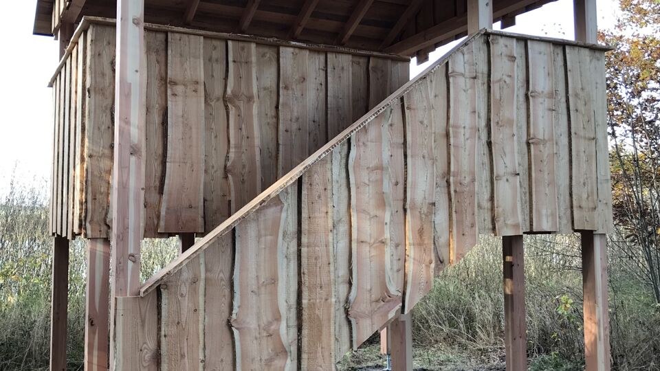 Foto einer neu errichteten Plattform zur Vogelbeobachtung aus Holz.