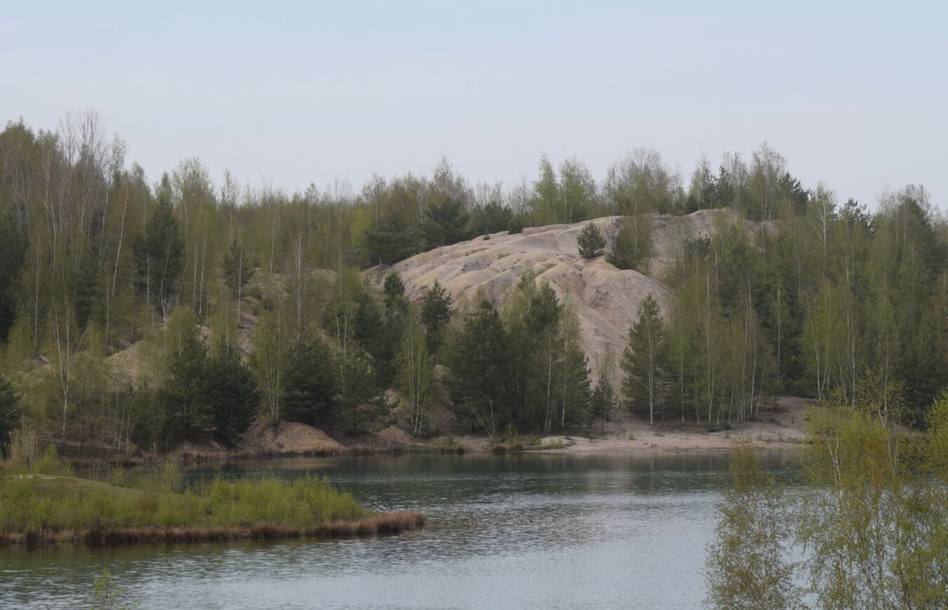 Renaturierung Bockwitzer See
