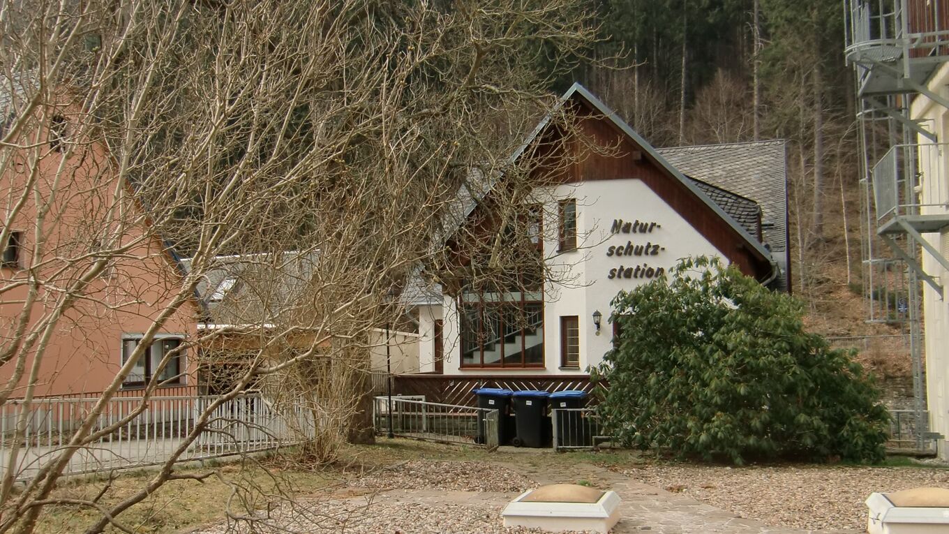 Das Bild zeigt das Gebäude der Naturschutzstation Pobershau, die vom Zweckverband Erzgebirge/Vogtland betrieben wird.