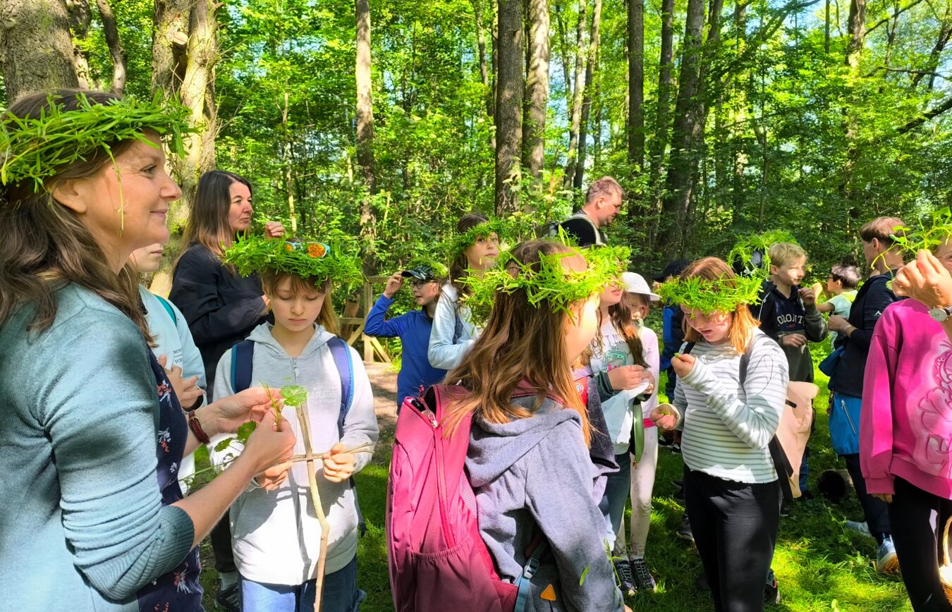 im Wald