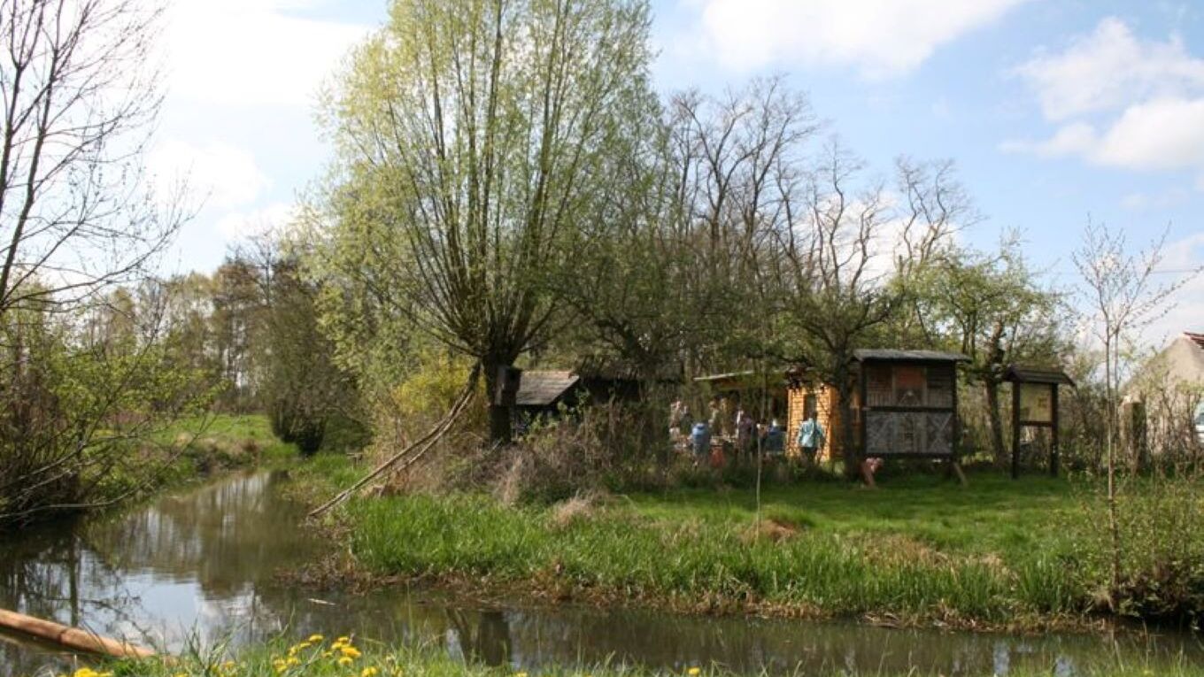 Zu sehen sind die Hütten und Infotafeln des Biberhofs Torgau unmittelbar an einem Teich gelegen.
