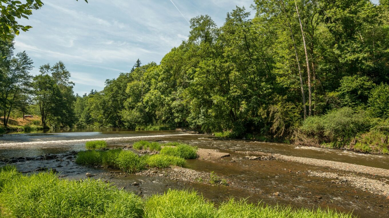 Naturnaher Gebirgsfluss Autor: pexels-ganajp