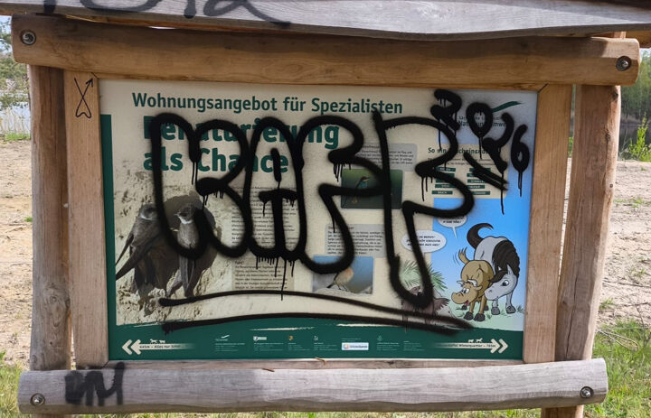 Blick auf eine Informationstafel am Bockwitzer See, die Unbekannte mit Graffiti zerstört haben - Link: Vandalismus: Naturlehrpfad Bockwitz als beliebtes Ausflugsziel soll schnell wiederhergestellt werden