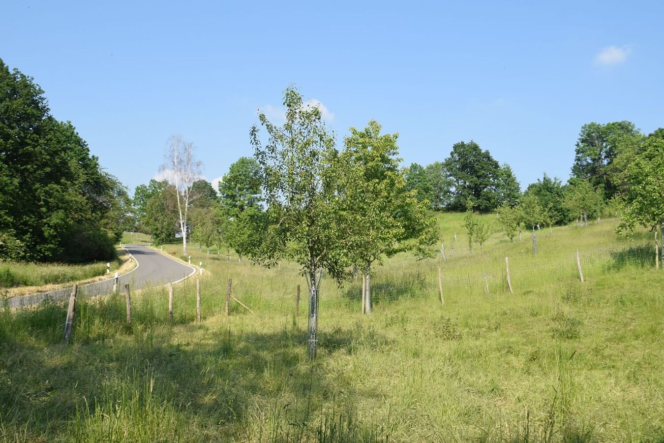 Streuobstwiese Gnandstein 2