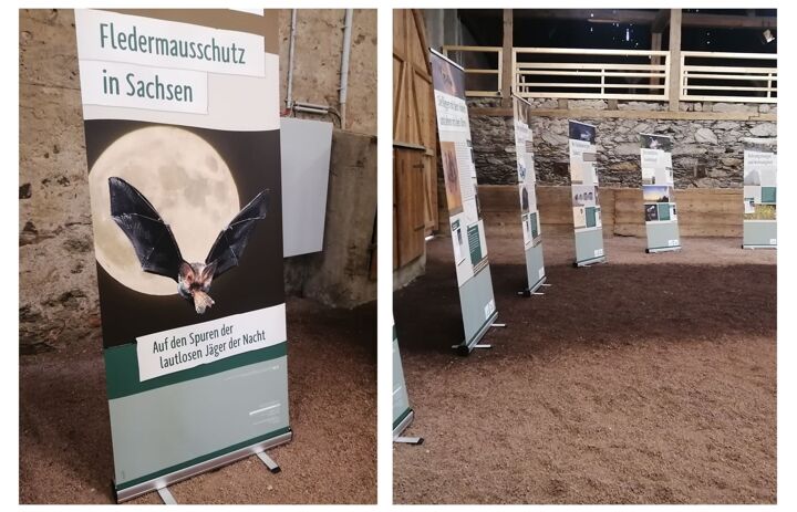 Zu sehen sind Roll-Ups der Wanderausstellung "Fledermausschutz in Sachsen", die zum Fledermausabend am 19.08.2022 im Kloster Altzella präsentiert wurden.