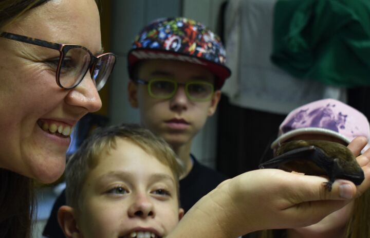 Link: JuNa-Artenforscher*innen-Camp "Fledermäuse"