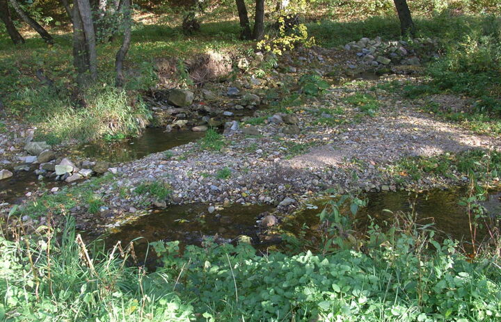 Kiesbank auf der LaNU-eigenen Fläche Bad Gottleuba Hochwasserfläche