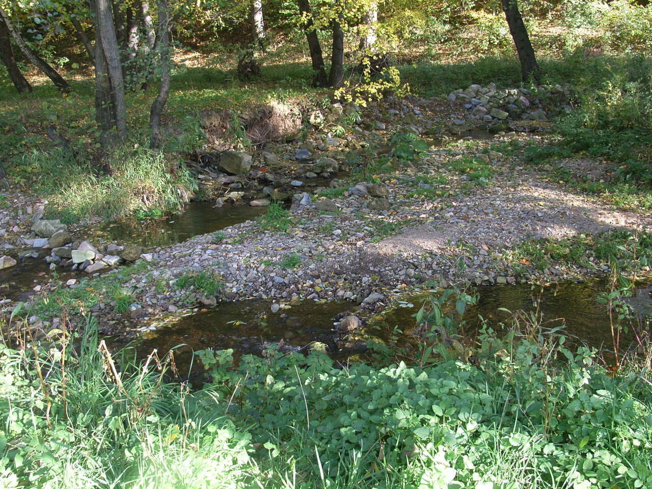 Kiesbank Hochwasserfläche Bad Gottleuba