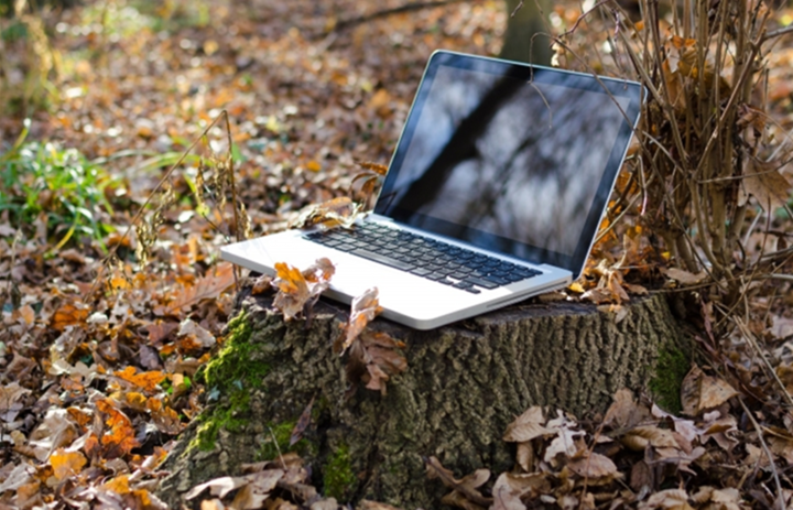 Laptop auf einem Baumstumpf im Wald
