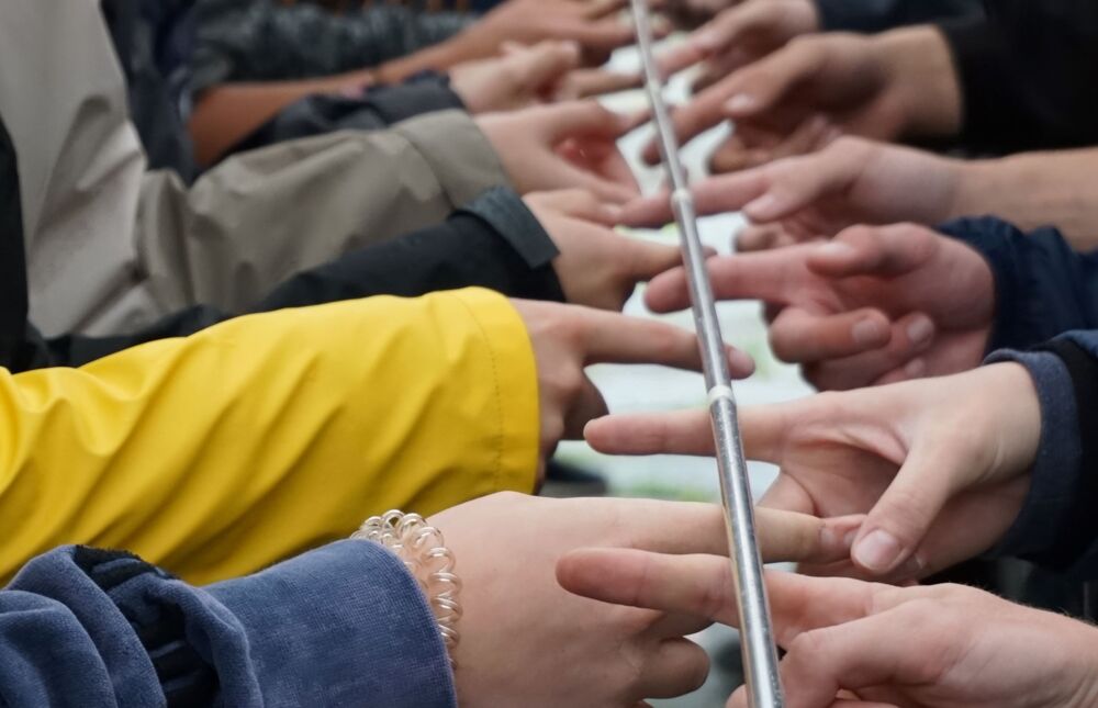Bild zur Verwendung auf der Internetseite der FÖJ-Seminarwochen