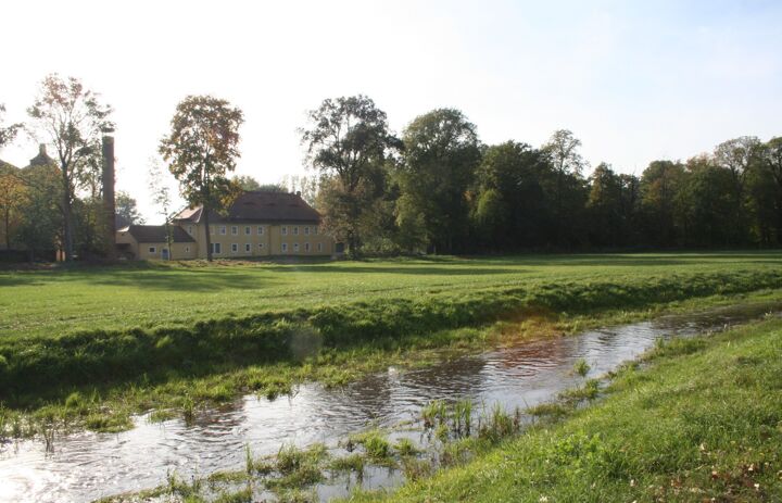 Waldstreifen neben Schloss Milkel an der Kleinen Spree