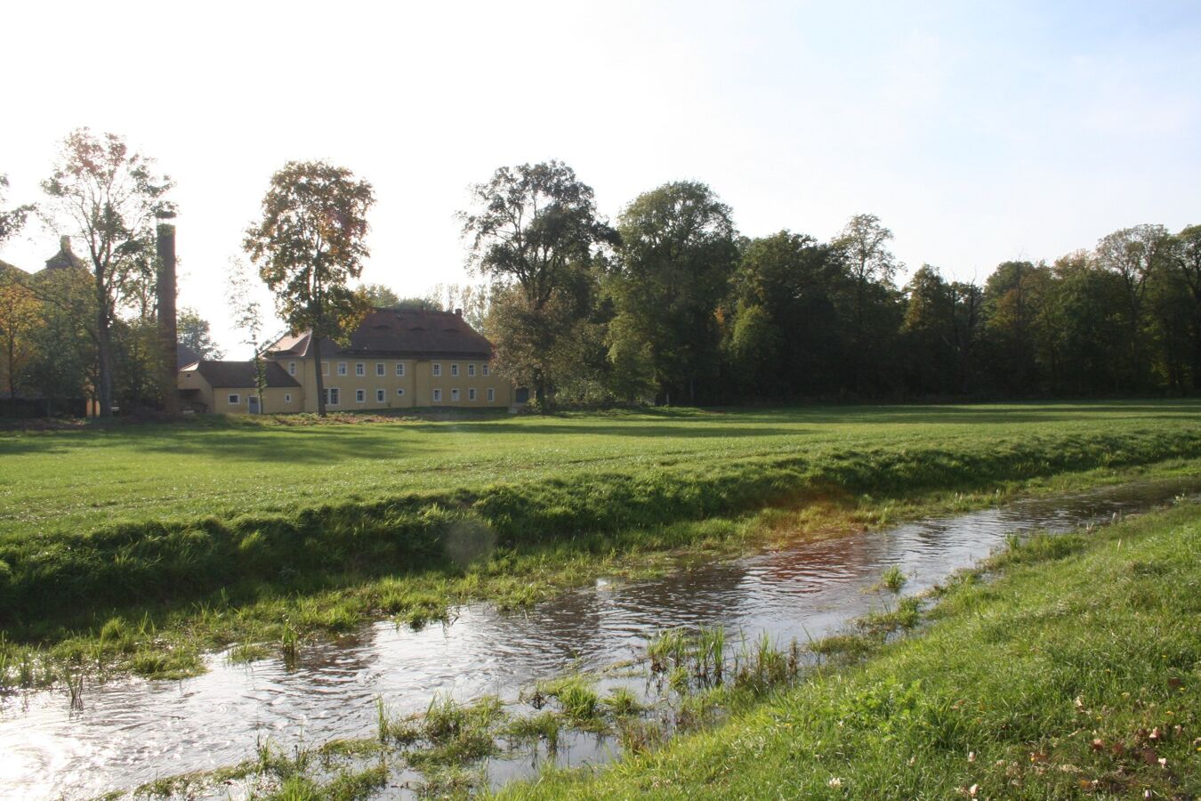Waldstreifen neben Schloss Milkel