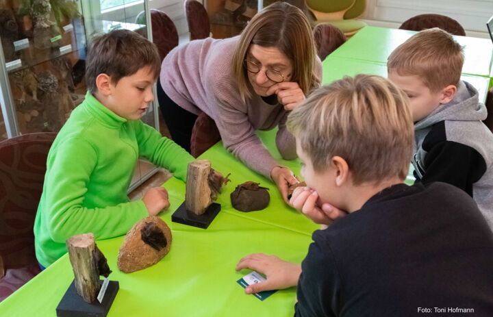 Eine Referentin und drei Kinder. Davor Fledermausmodelle auf einem Tisch. - Link: Kooperationsveranstaltungen als Lernangebote  zur Unterstützung der Umweltbildung an Schulen