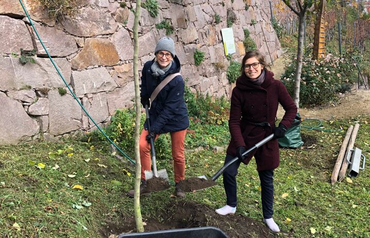 Zwei Frauen pflanzen einen Baum - Link: Großspende