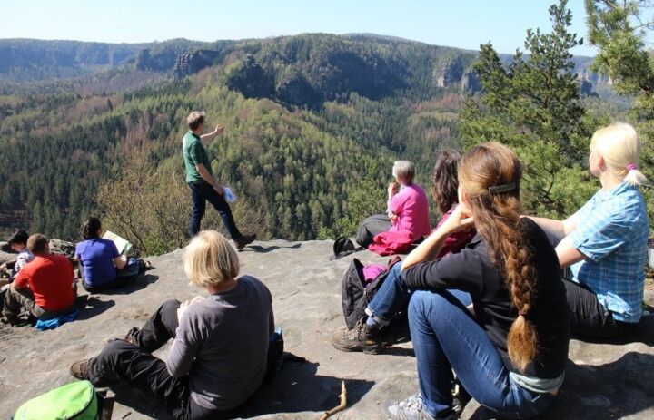 Gruppe von Wanderern blickt von Felsen auf den Wald - Link: Präsenzveranstaltungen
