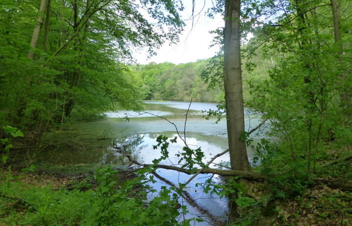 Blick auf den Giksteich.