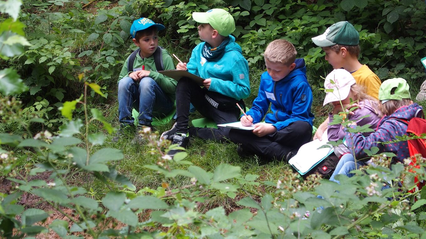 Eine Gruppe von JuNas sitzt im Wald an einem Bach und beobachtet die Umgebung.