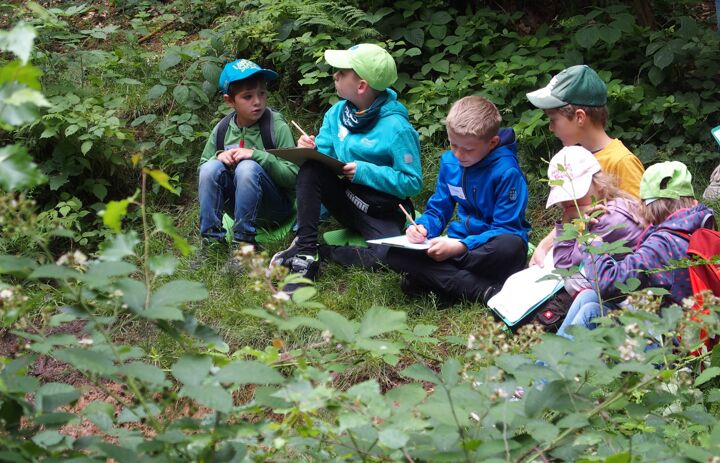 Eine Gruppe von JuNas sitzt im Wald an einem Bach und beobachtet die Umgebung. - Link: Eine Reise zu Fledermäusen, Glühwürmchen und Nachtfaltern  - auch Insektenhotels werden gebaut