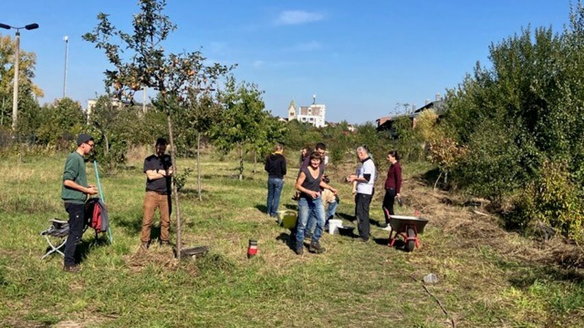 Menschen pflanzen Bäume auf einer Streuobstwiese