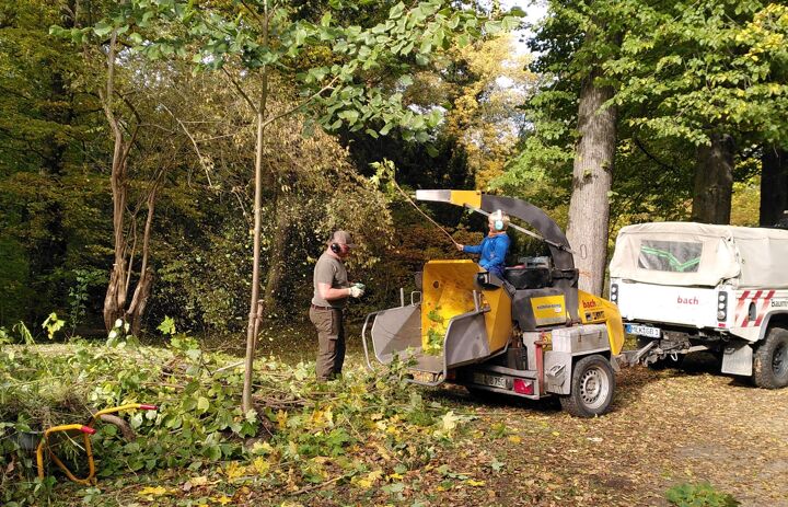 Firma Bach häckselt, was das Zeug hält: Aufwuchs und Astwerk, dass insbesondere aus den wieder geschaffenen Sichtachsen stammt.
