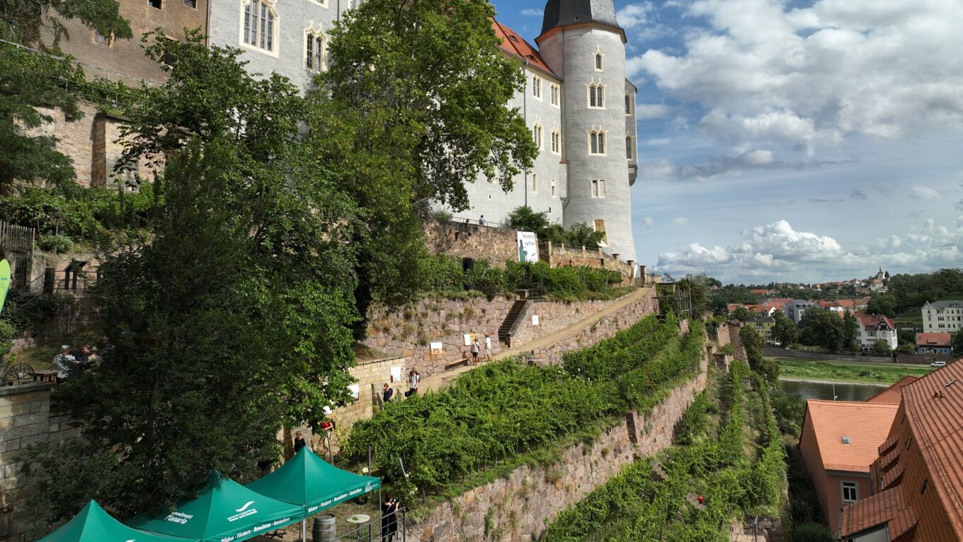 Tag des offenen Weingutes Ansicht Weinberg